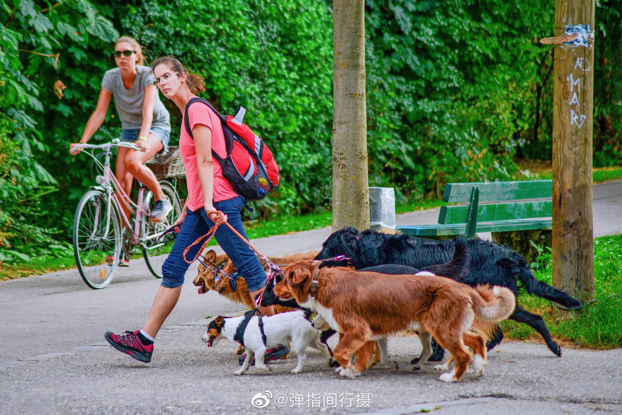 人狗大战怎么用Python实现 奥斯卡经典100部电影有哪些