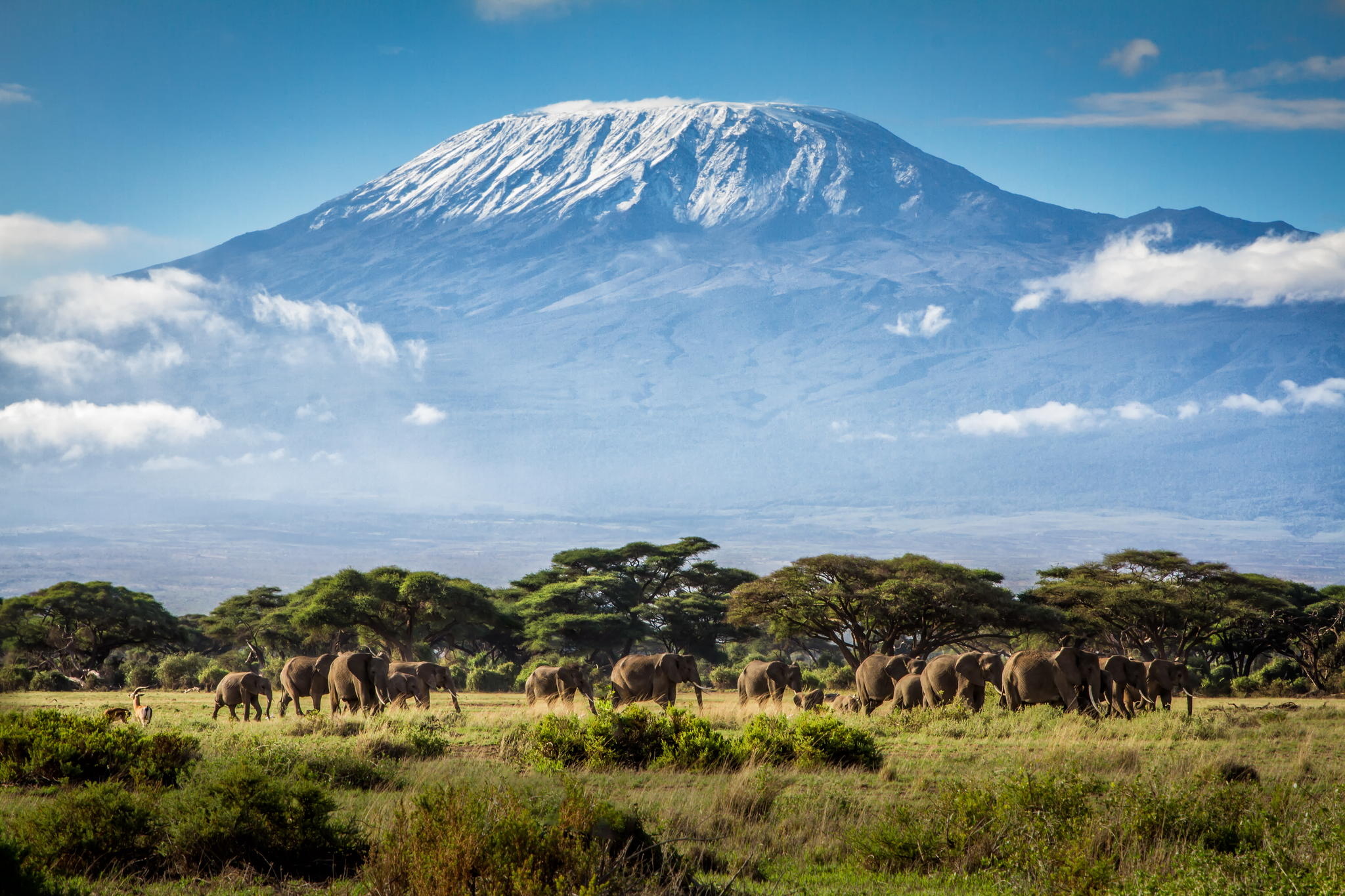 非洲肯尼亚旅拍专业摄影团野生动物迁徙之旅_江西摄影家俱乐部