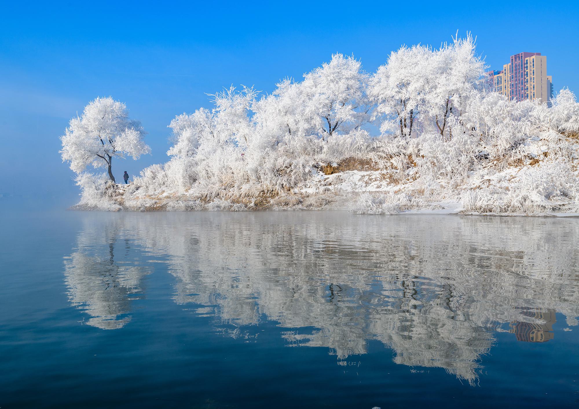 今天吉林雾凇真不错!在市内江边转转_高清图集_新浪网