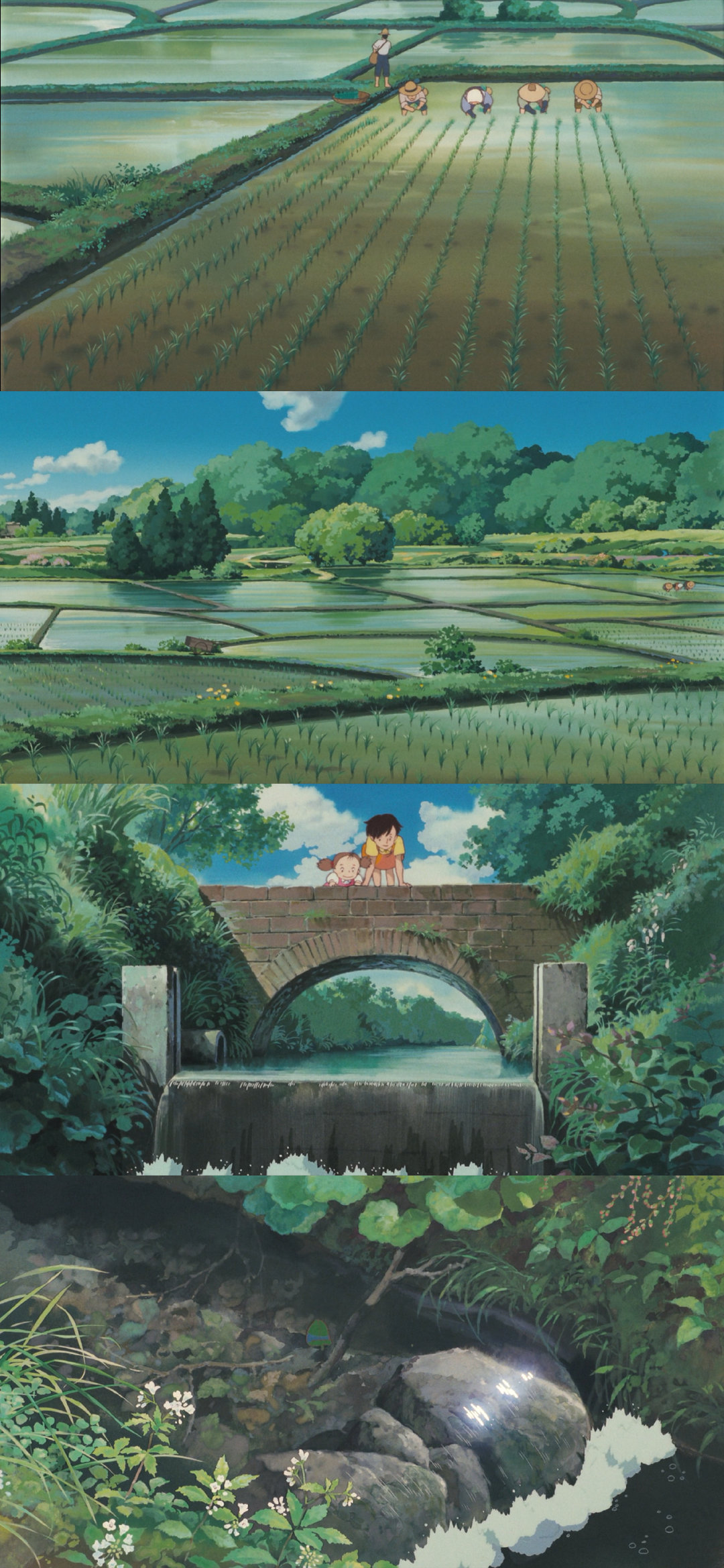 重看《龙猫》,最难忘姐妹俩的生活环境——美丽的田园风光