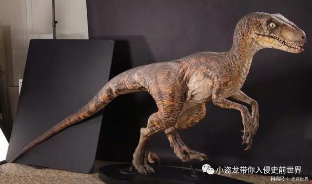 《侏罗纪世界》里的迅猛龙那么厉害,其实都是骗人的!