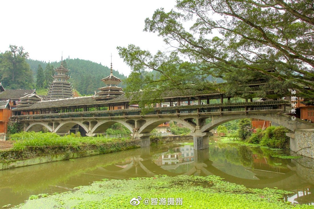 在贵州黎平县双江镇大山深处有一个古村落,叫四寨村