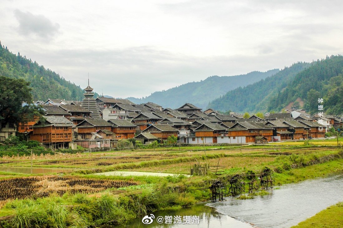 在贵州黎平县双江镇大山深处有一个古村落,叫四寨村