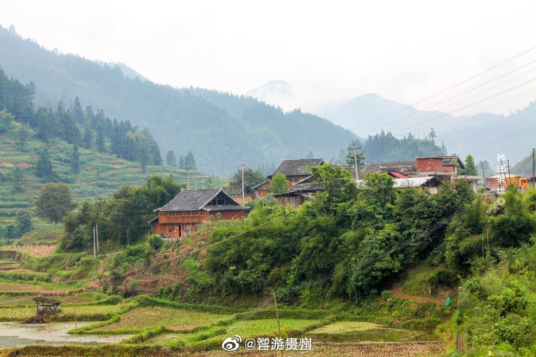 在贵州黎平县双江镇大山深处有一个古村落,叫四寨村