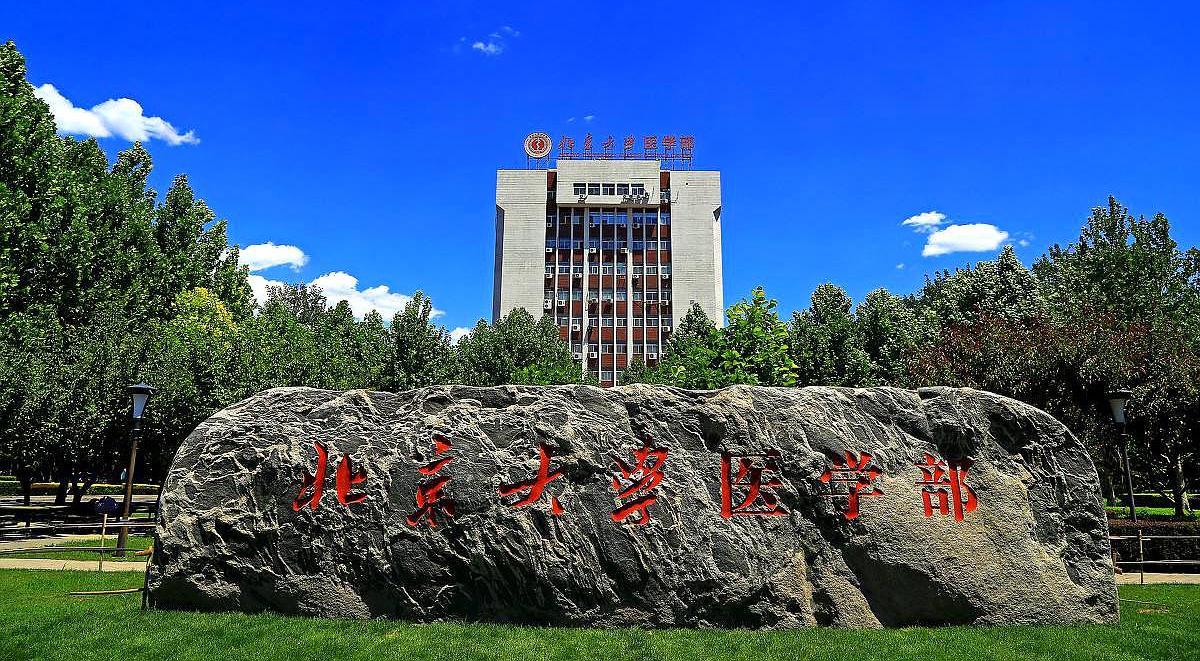 北京大学医学部|医学院|医学_新浪新闻