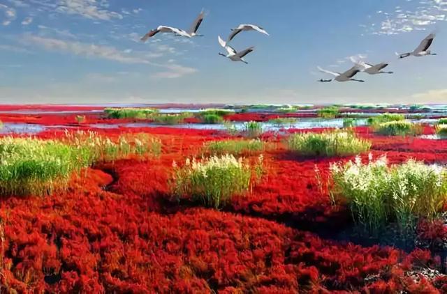 九十九张世界美景照片！太美了，发给你看看~|美景|洞穴|冰洞_新浪新闻