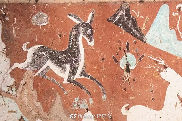 敦煌莫高窟中的动物们