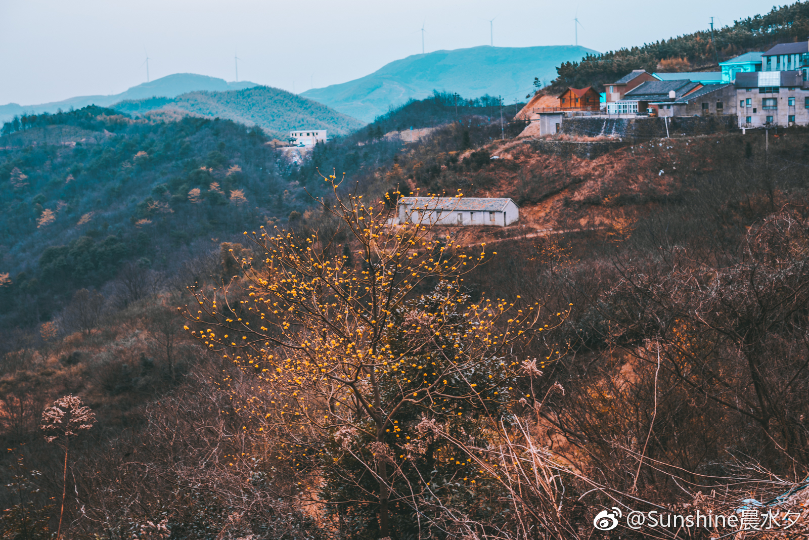 宁波大梅山游拍记. @西门町吃在宁波 @微博摄影 @微相册