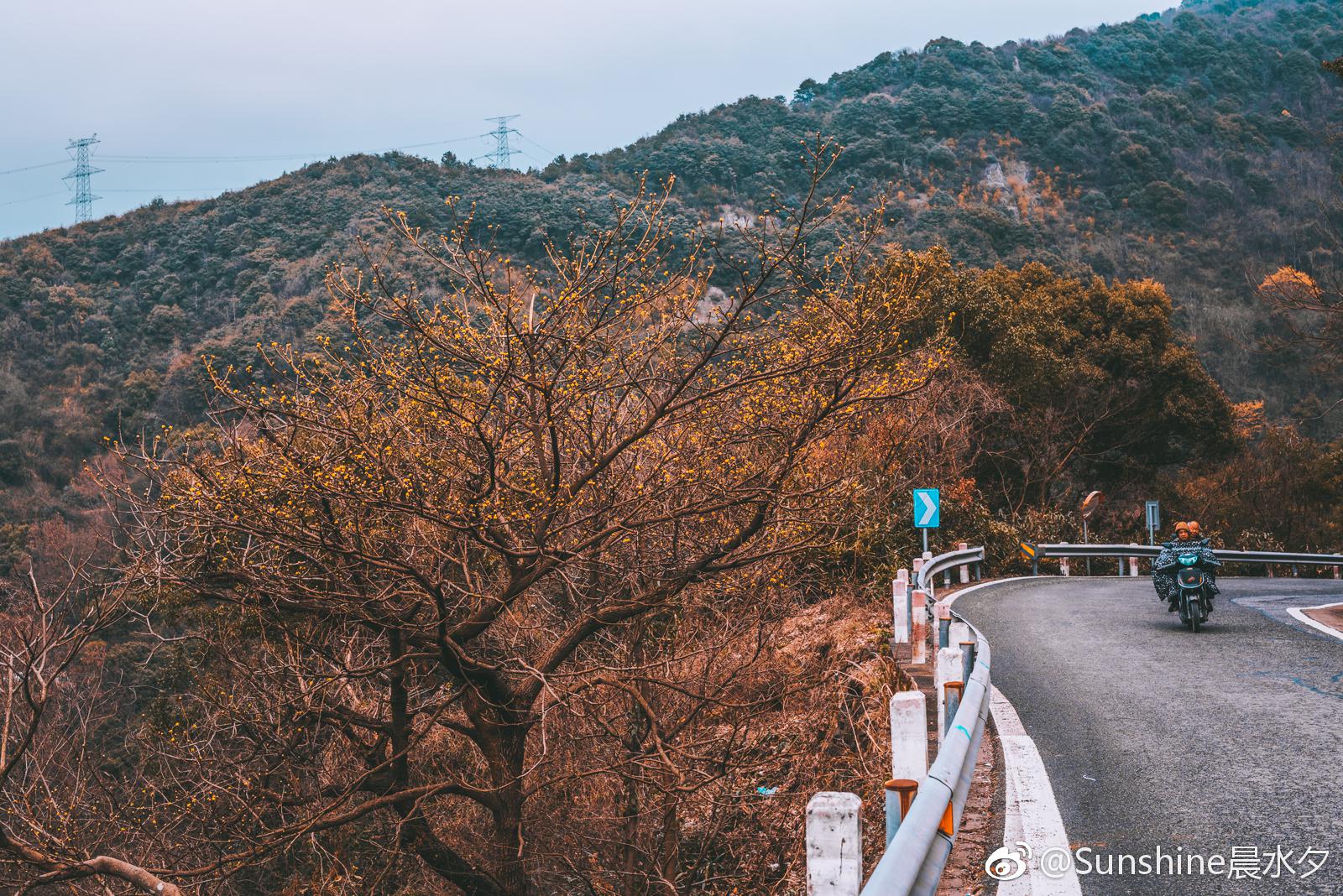 宁波大梅山游拍记. @西门町吃在宁波 @微博摄影 @微相册