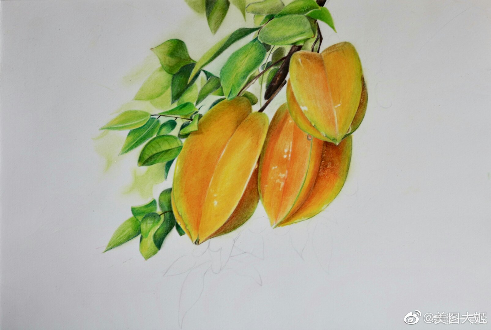 彩铅画手绘作品 杨桃作者@一青s