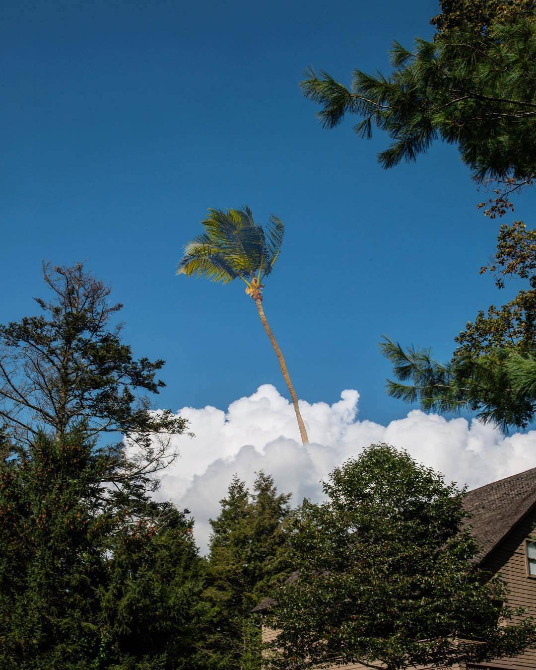 超现实街景 pt.12 | kanghee kim