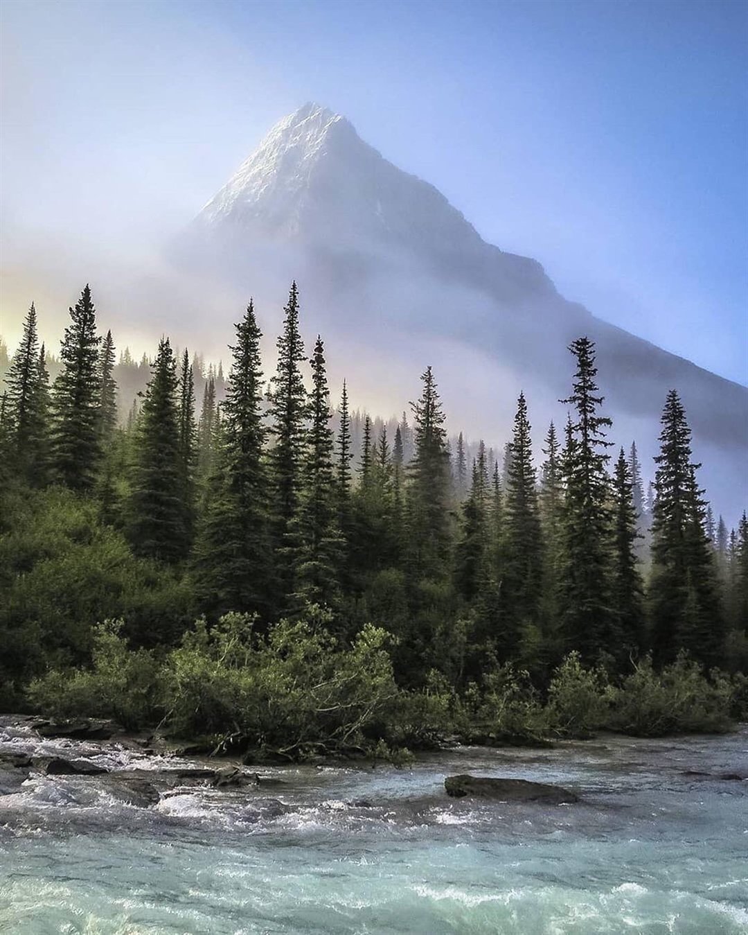 高山上的别样风景,早上好