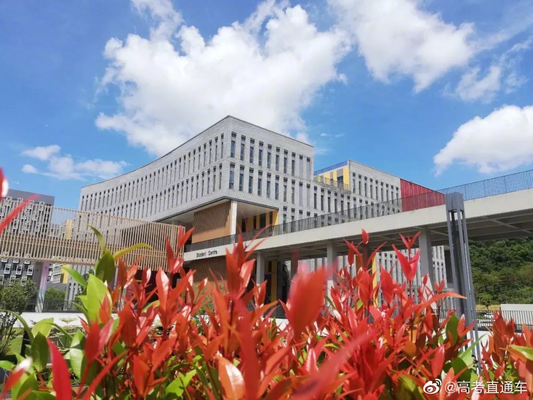 香港中文大学(深圳)校园一览