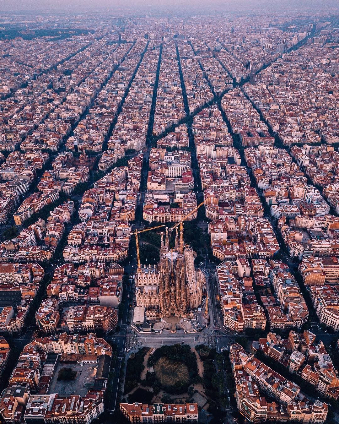 巴塞罗那vs法兰克福直播