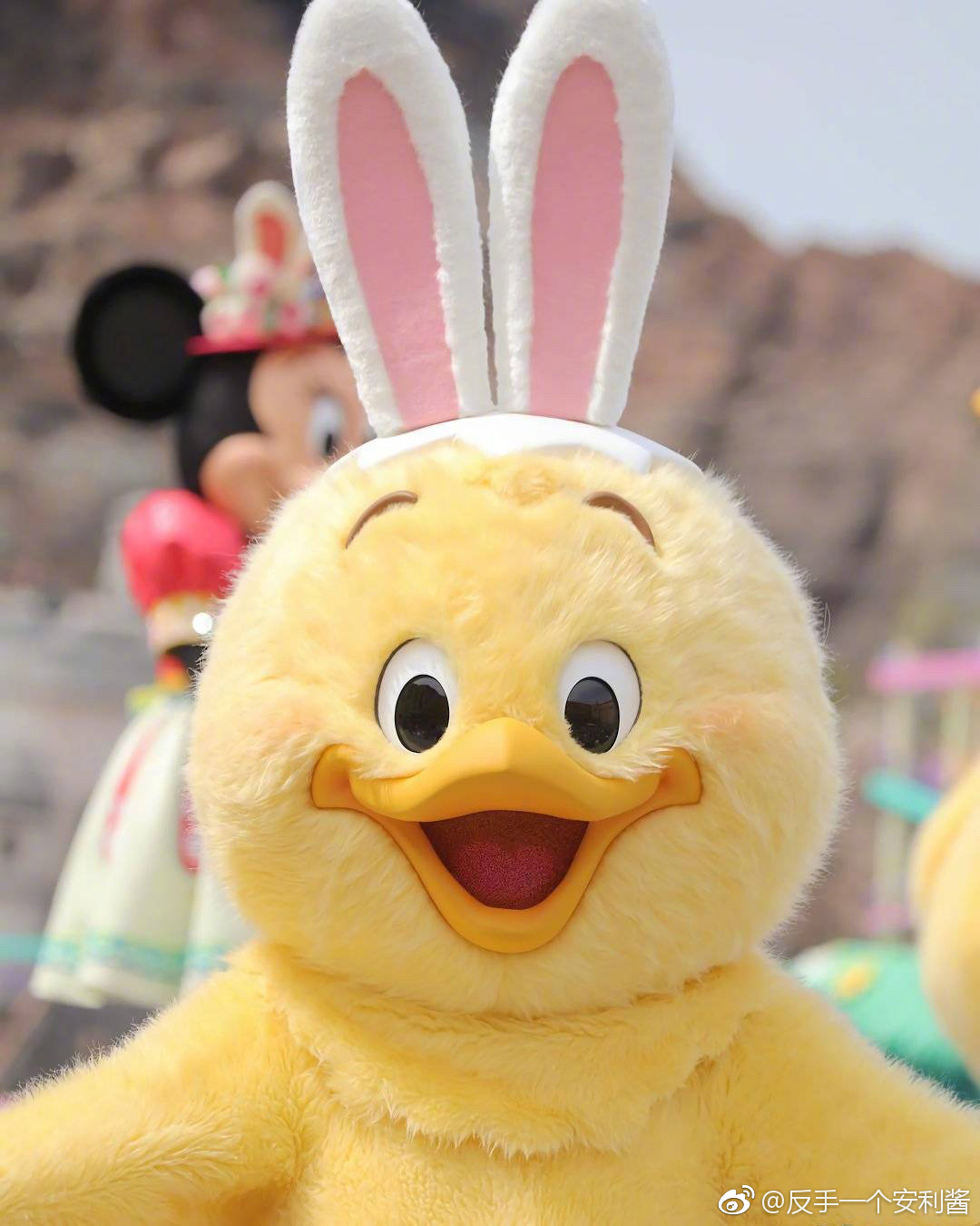 东京迪士尼今年春季最新推出的卡通角色兔耳小鸡登场啦