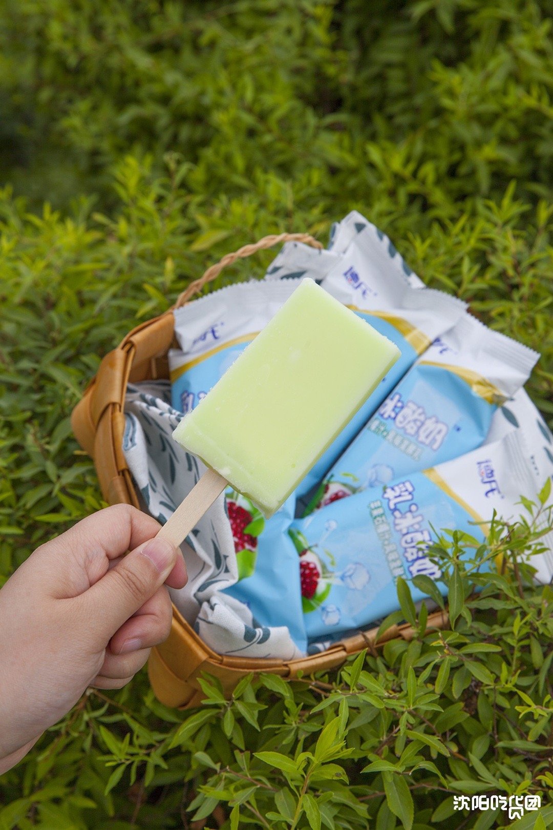 这个夏天最让胖熊激动的事情莫过于德氏乳冰酸奶回归了