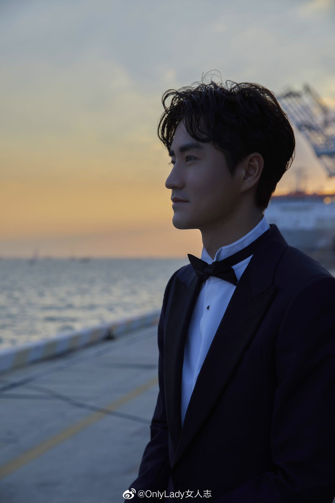 杨玏 身着@dunhill kensington深色系晚礼服亮相闭幕式