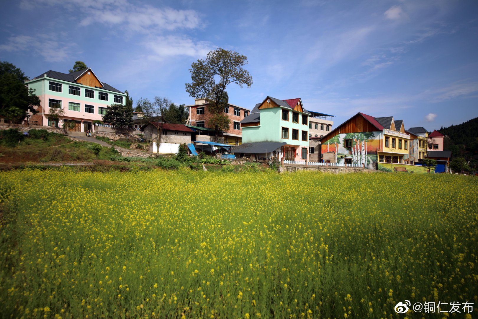 4月16日,趁春光明媚,玉屏县朱家场镇桐木村村民在家门口栽种蔬菜