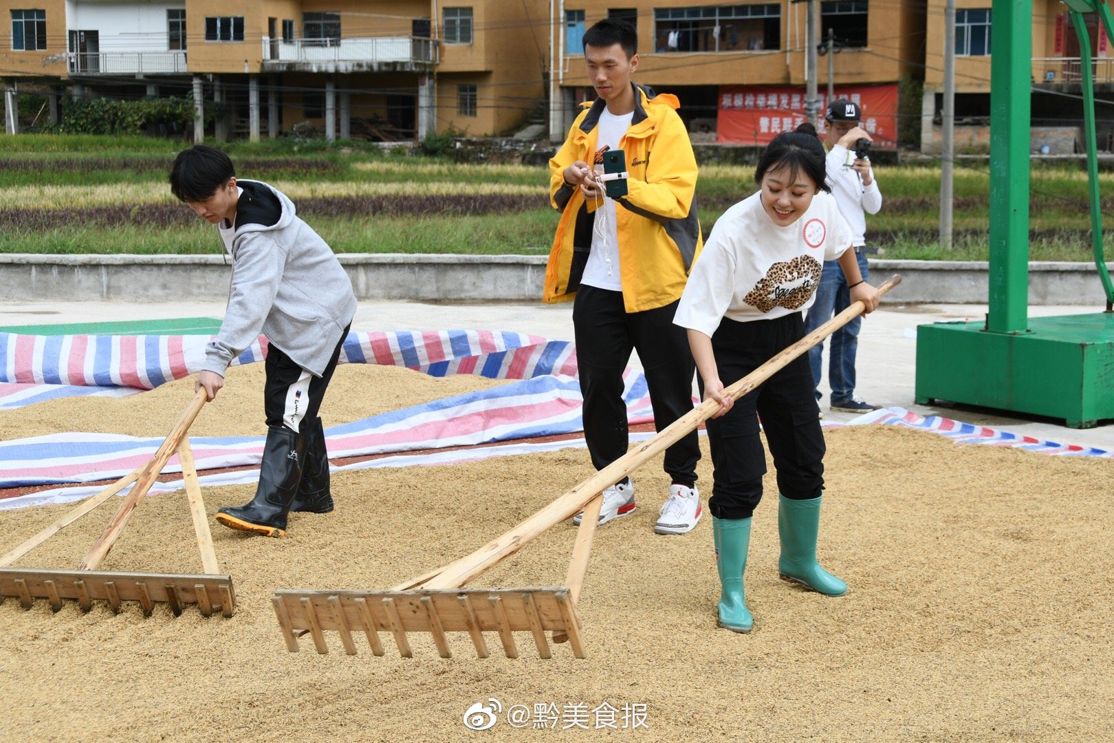 今天和朋友们到册亨县高峰村体验亲自下稻田割稻子,打谷子|谷子|册亨县|稻子_新浪新闻