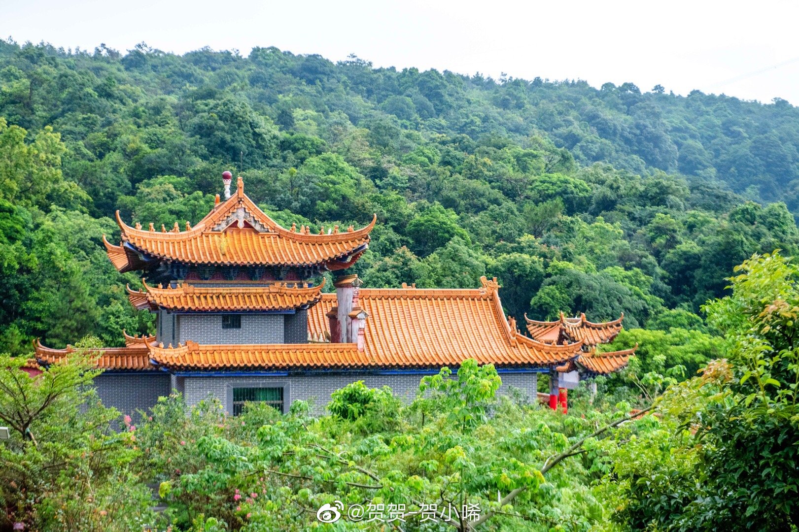 东莞观音山樟木头观音山旅游风景区的森林覆盖率达92以上