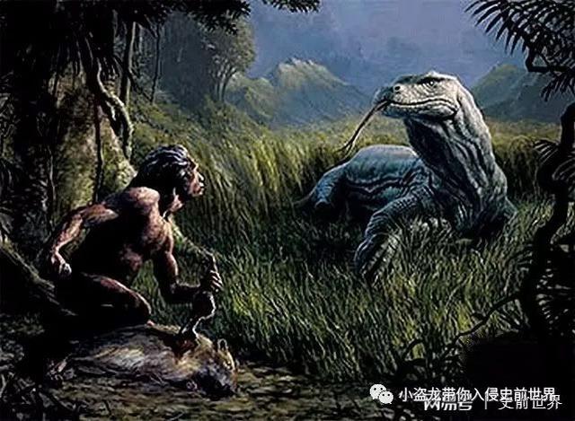 古巨蜥:死在人类手上的澳洲魔龙