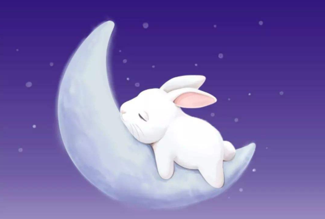 月球的第一只兔子已经沉睡了两年我们还能再相见吗
