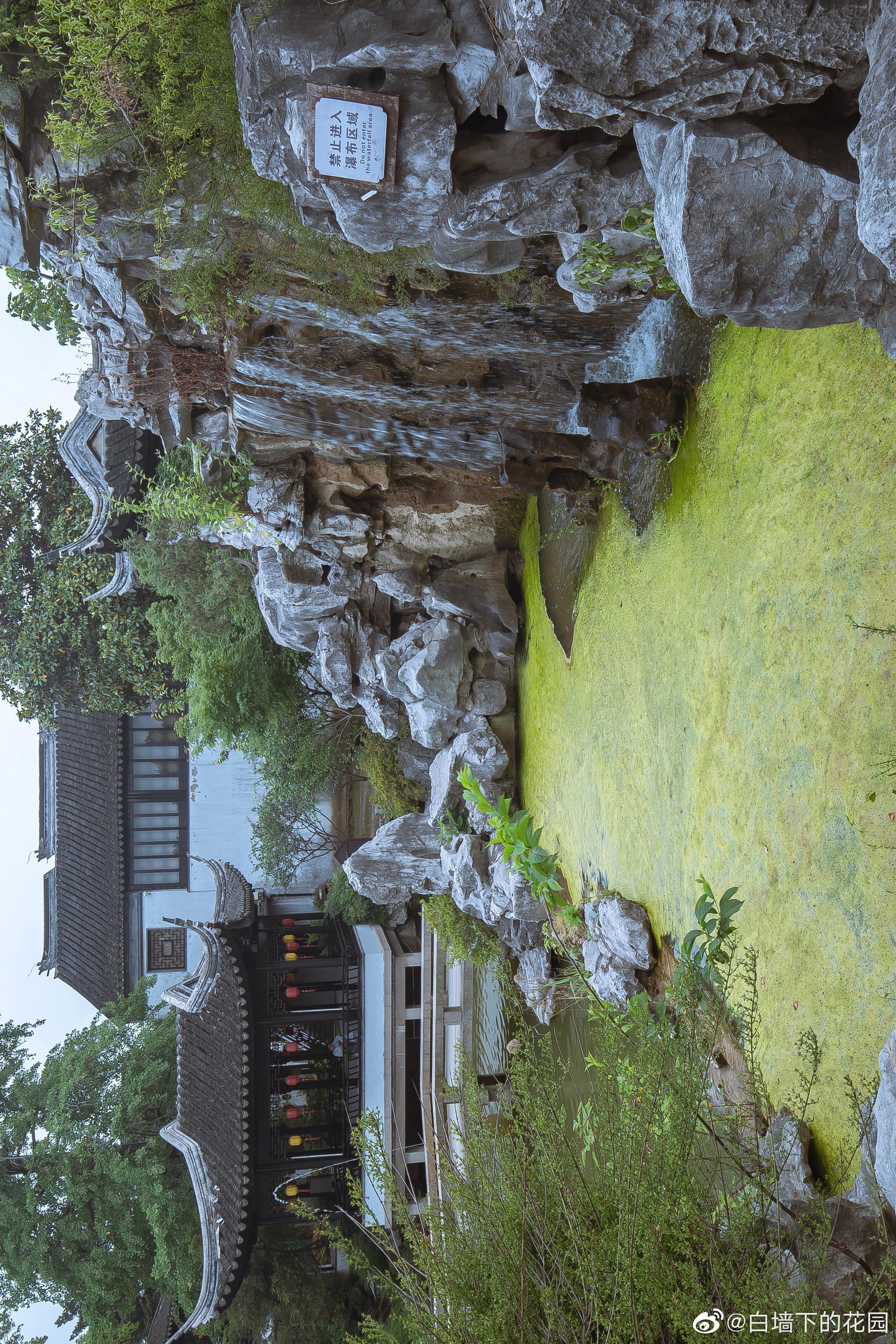 在苏州的园林中,假山多以玲珑剔透的太湖石来堆叠