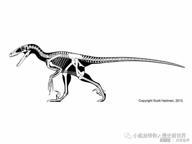 侏罗纪世界里的迅猛龙那么厉害其实都是骗人的