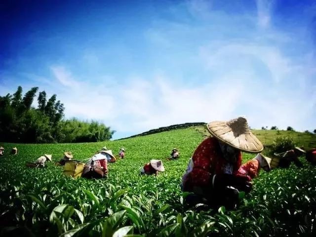 揭秘日本爱东町循环农业的商业逻辑