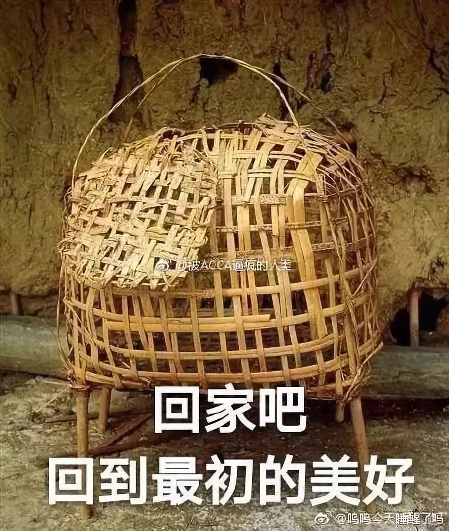 手提鸡笼?这是什么魔鬼时尚造型,吐槽已经堆不下了