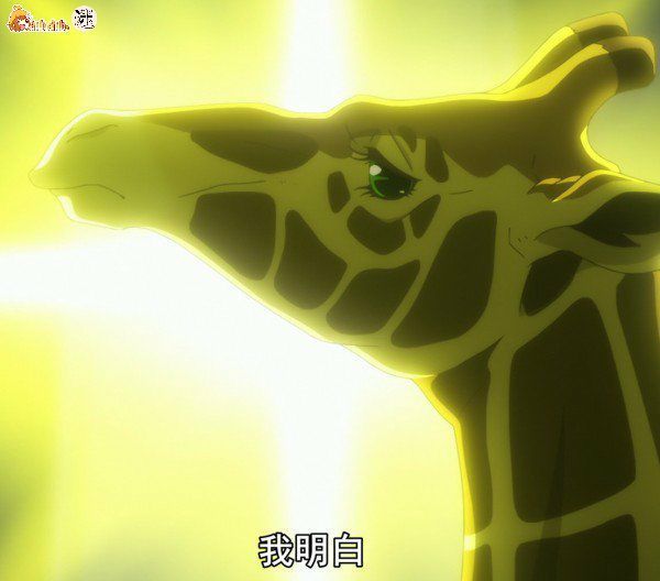 长颈鹿|少女|老婆_新浪新闻