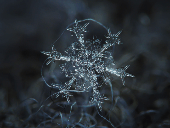 雪花还不都是那个样……真的吗?|晶体|鹅毛大雪|形状_新浪新闻