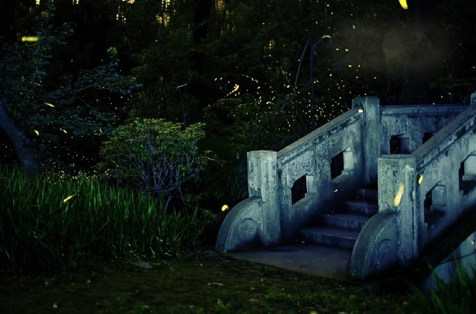 萤影竹窗下,松声茅屋头.近来心更静,不梦世间游.