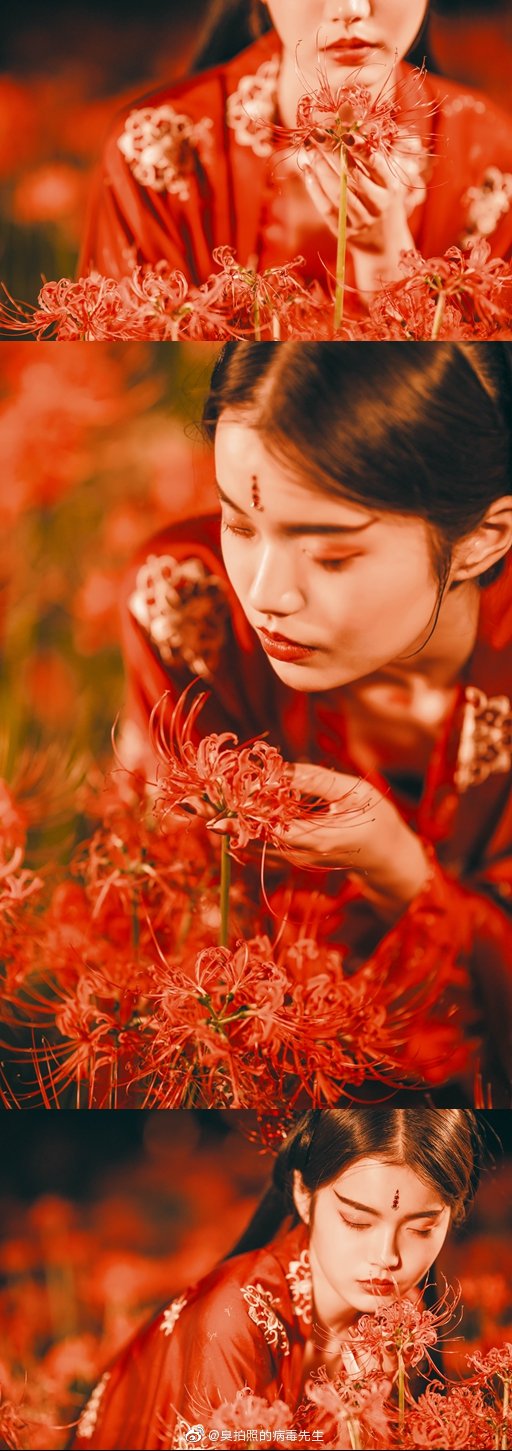 黄泉路上 忘川河畔彼岸花开 曼珠沙华叶不了花 望乡台前三生石旁