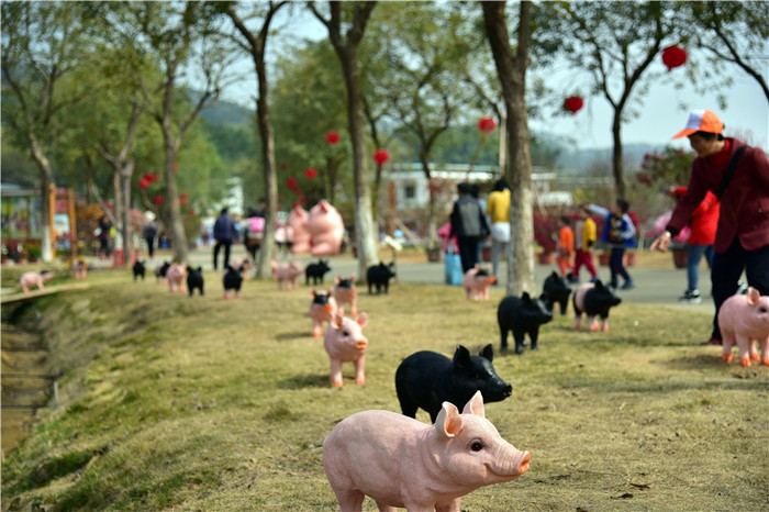 佛山盈香生态园母猪上树成网红,佩奇在树上宣告男人的话可以信|母猪|盈香生态园|佩奇_新浪新闻