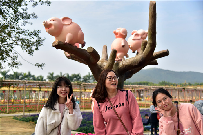 佛山盈香生态园母猪上树成网红,佩奇在树上宣告男人的话可以信|母猪|盈香生态园|佩奇_新浪新闻