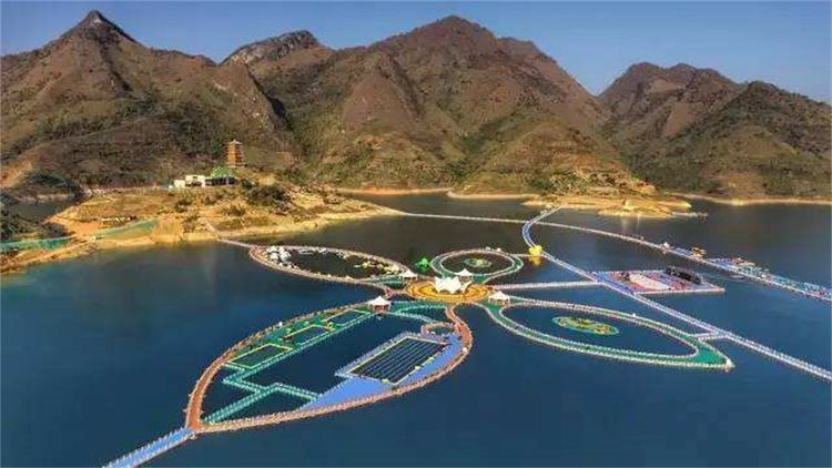 玻璃栈道已经玩腻了贵州的漂浮栈道一亮相就迷倒游客