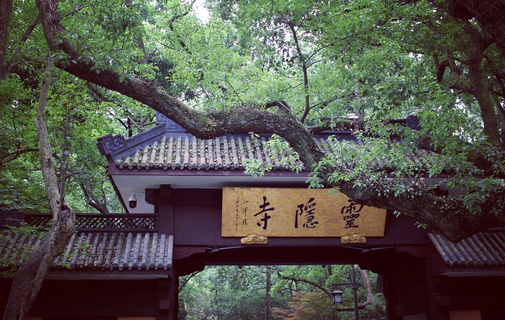 灵隐寺丨毗邻西湖 是中国最早的佛教寺院和中国十大古刹之一|西湖|灵隐寺|古刹_新浪新闻