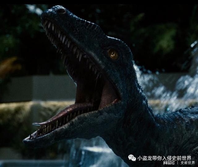 侏罗纪世界|恐爪龙|龙_新浪新闻