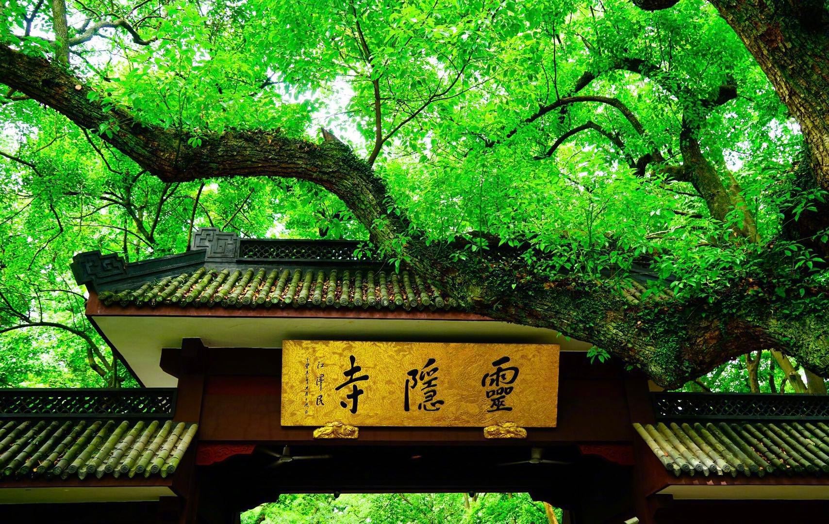 灵隐寺丨毗邻西湖是中国最早的佛教寺院和中国十大古刹之一