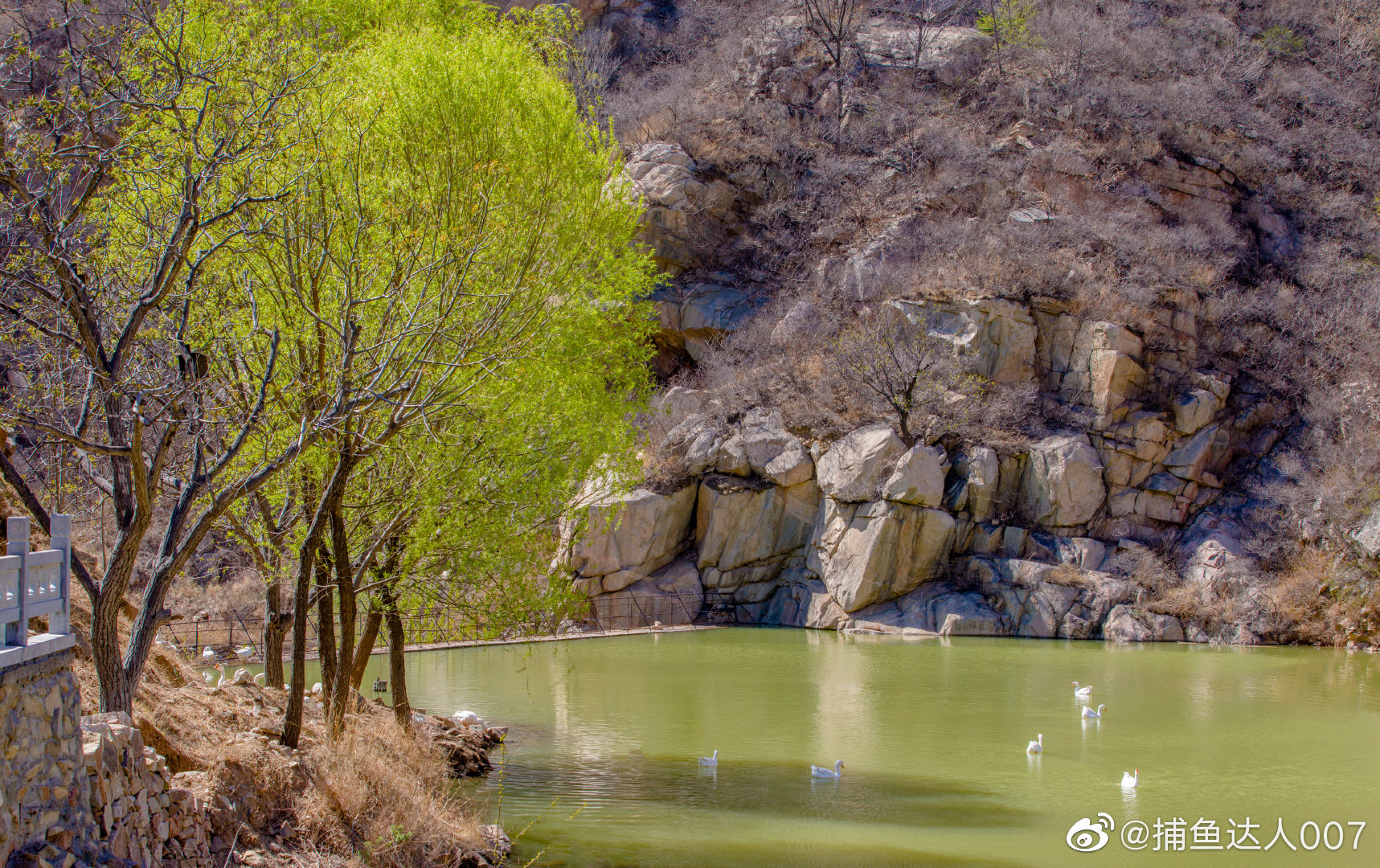 高尔十八盘村@新浪山东 @浪部落 @济南市文化和旅游局 @中国摄影师联