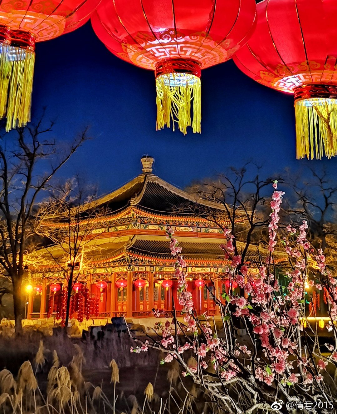 北京元宵节看花灯图片