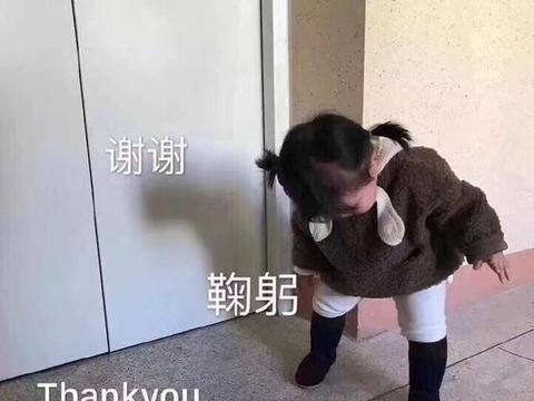 搞笑图片:谢谢,鞠躬,thankyou,感恩|感恩|奶茶|鹅肠_新浪新闻