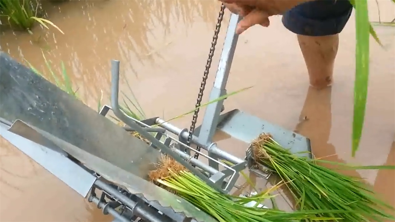 民间牛人研制手摇插秧机,1小时500平比8个人都快,500块一台|牛人|插秧