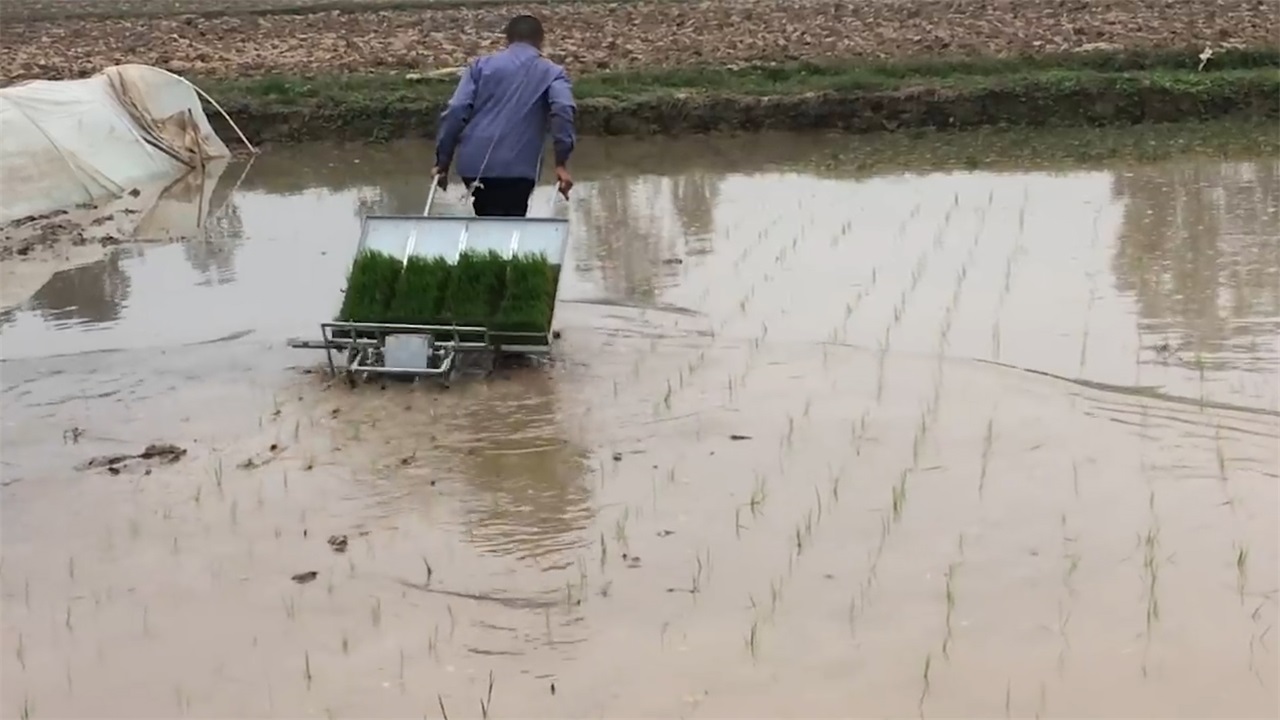 使用插秧机的注意事项