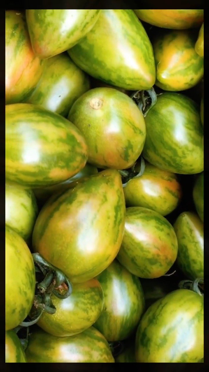 "贼不偷","皮球","紫桃",大东北的柿子名字太逗了