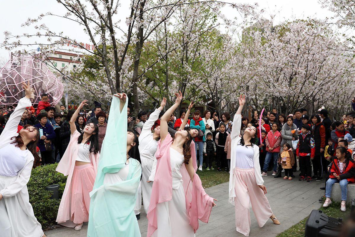 宁波与日本的樱花之缘,赏樱打卡地,花期短,错过再等一年