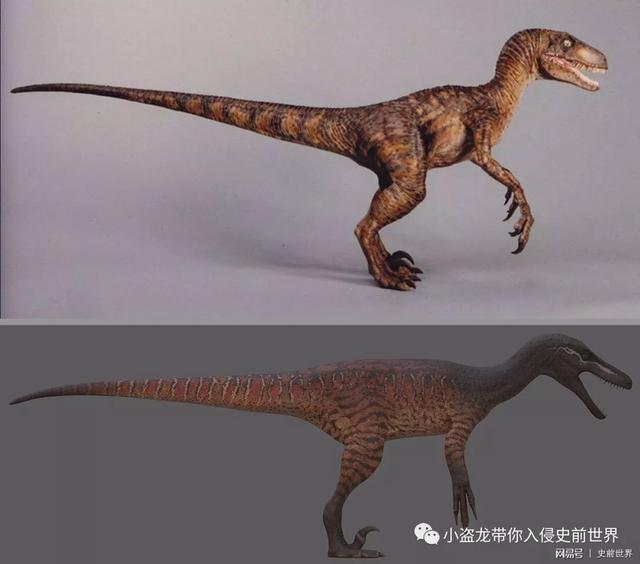 侏罗纪世界|恐爪龙|龙_新浪新闻