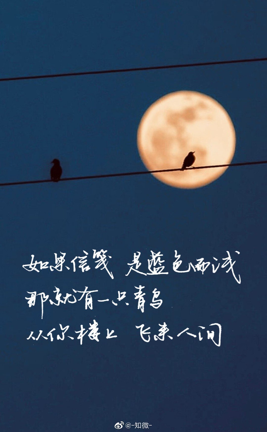 79今日份九宫格2|龟|九宫格|日月星辰_新浪新闻