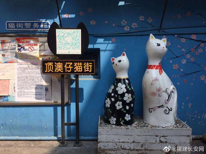一条gai全是猫 网友 超想去打卡 一条gai全是猫 网友 超想去打卡